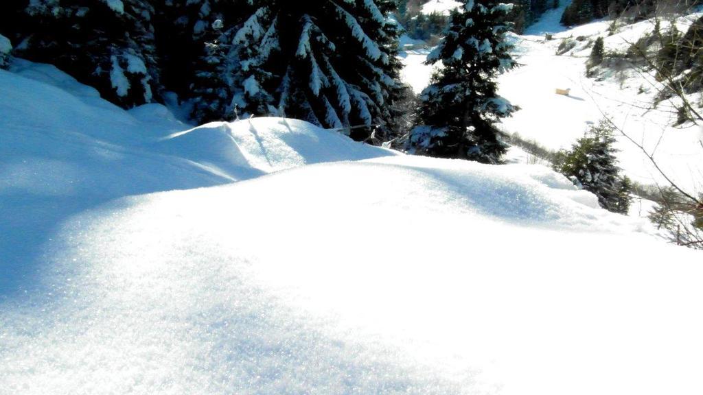 Affittacamere Luenerhof Neustift im Stubaital Esterno foto