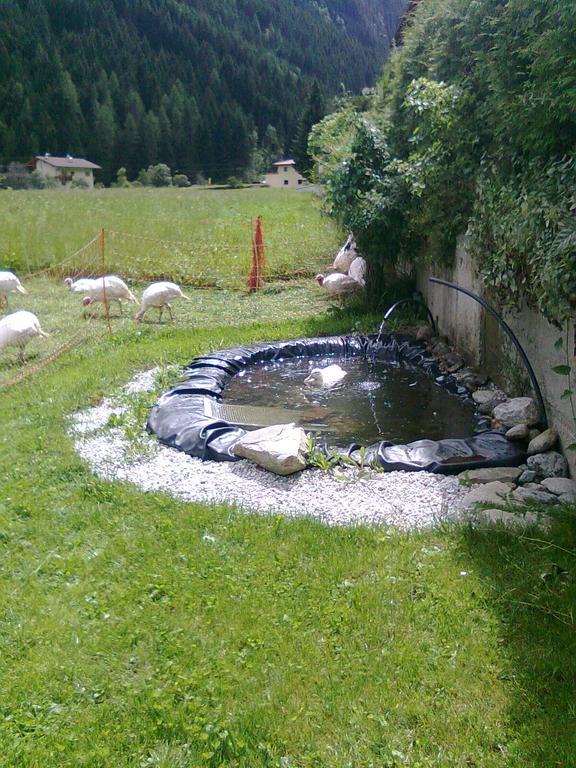 Luenerhof Affittacamere Neustift im Stubaital Esterno foto