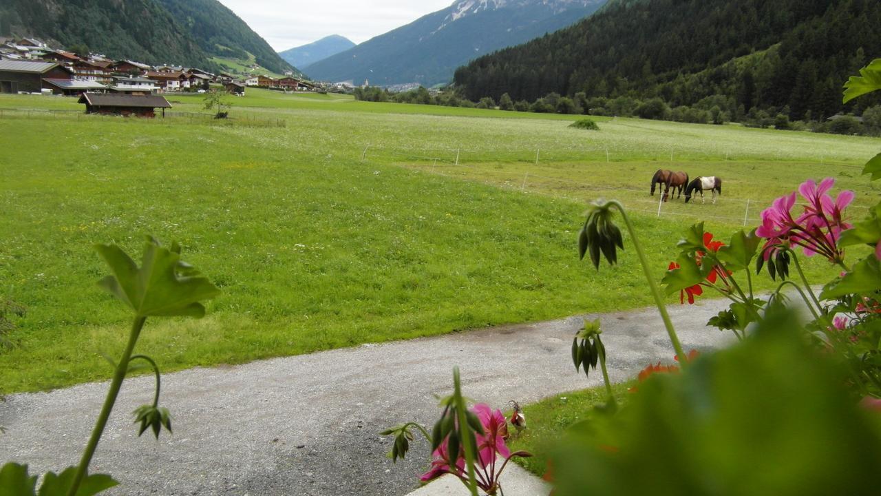 Luenerhof Affittacamere Neustift im Stubaital Esterno foto